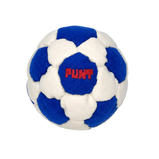 Punt Icon