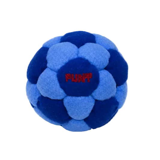 Punt Origin